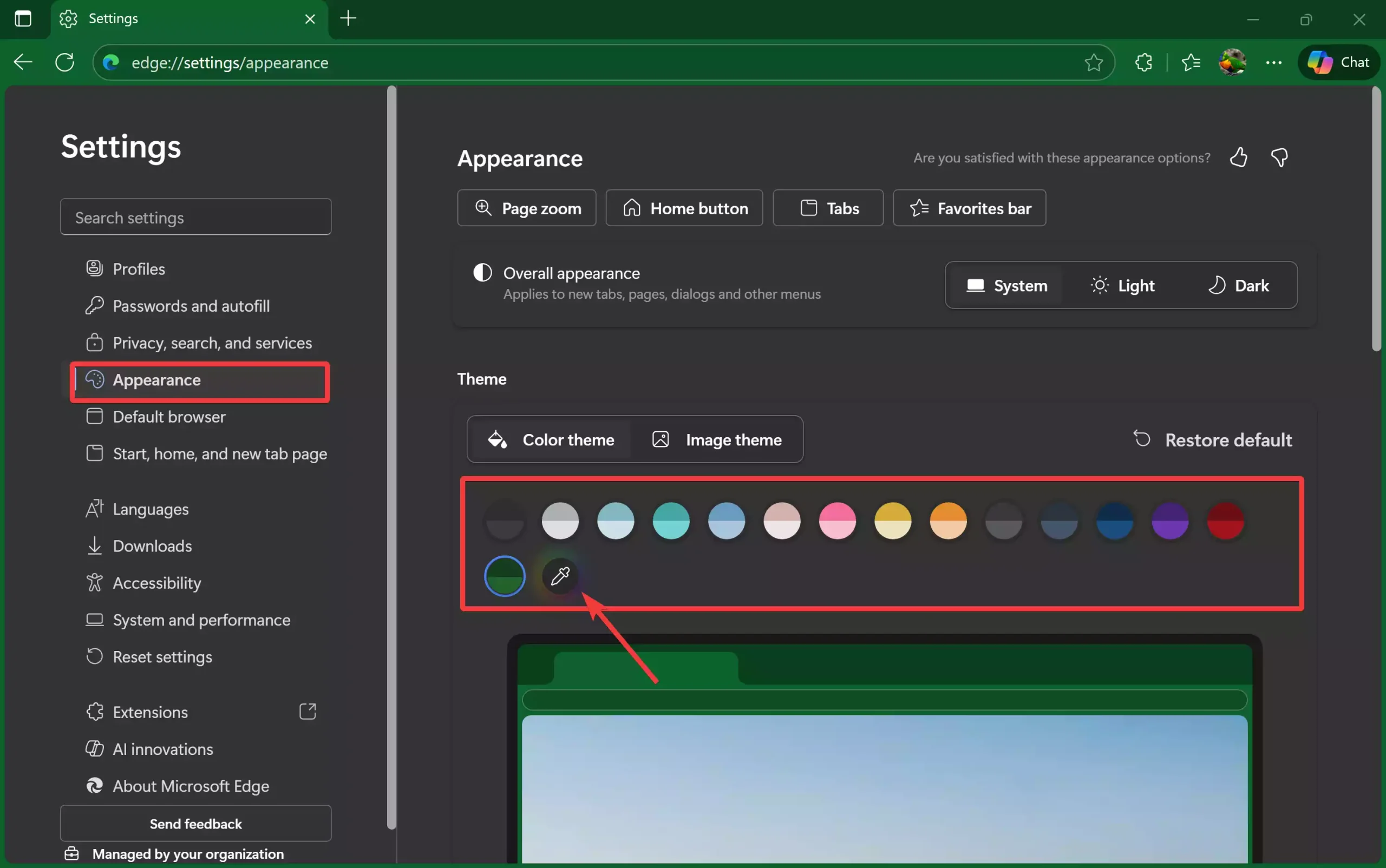Microsoft Edge - Appearance