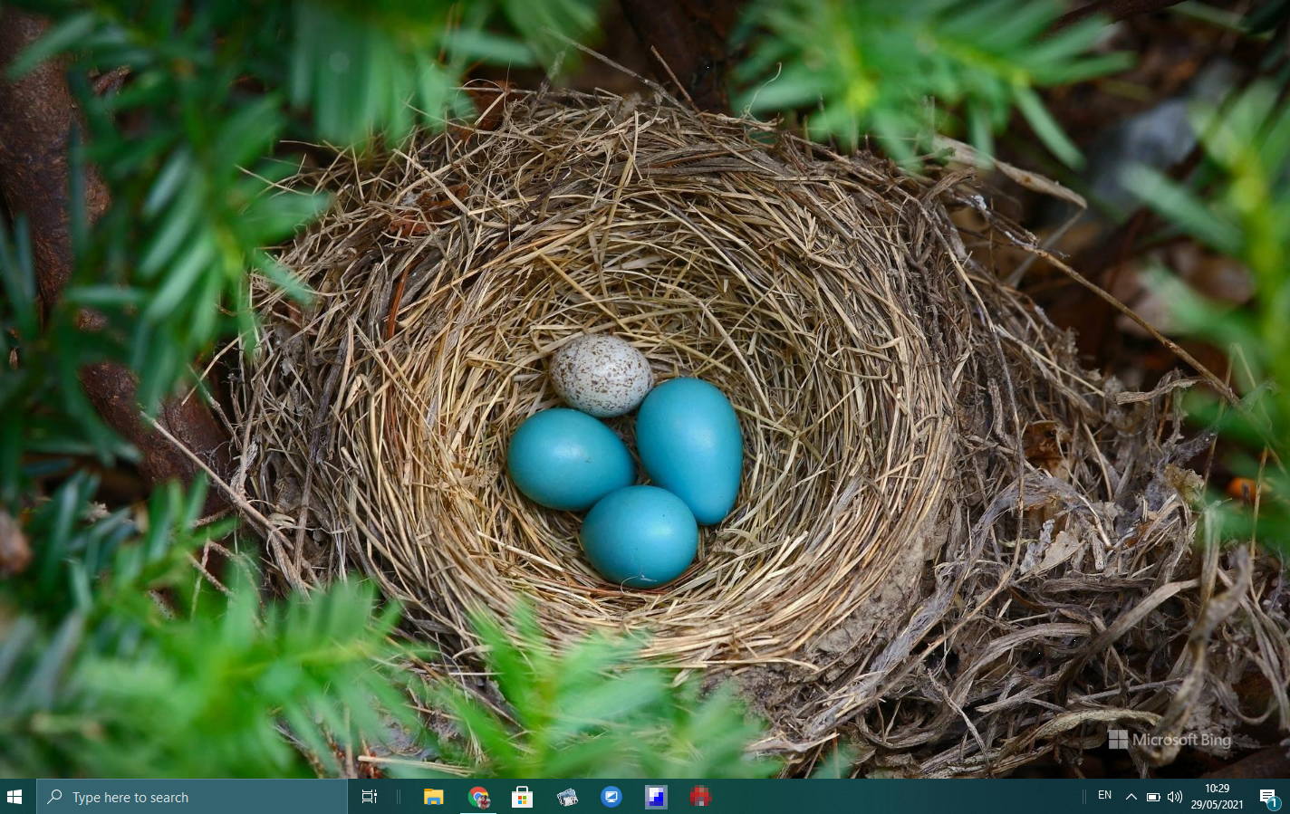 Download Windows 10 20H1 wallpaper and Bing wallpaper app here - Wb7themes