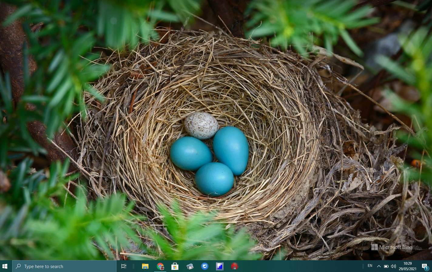 3 Free Bing Wallpaper Tools To Apply Desktop Wallpaper Automatically On Windows 11 10