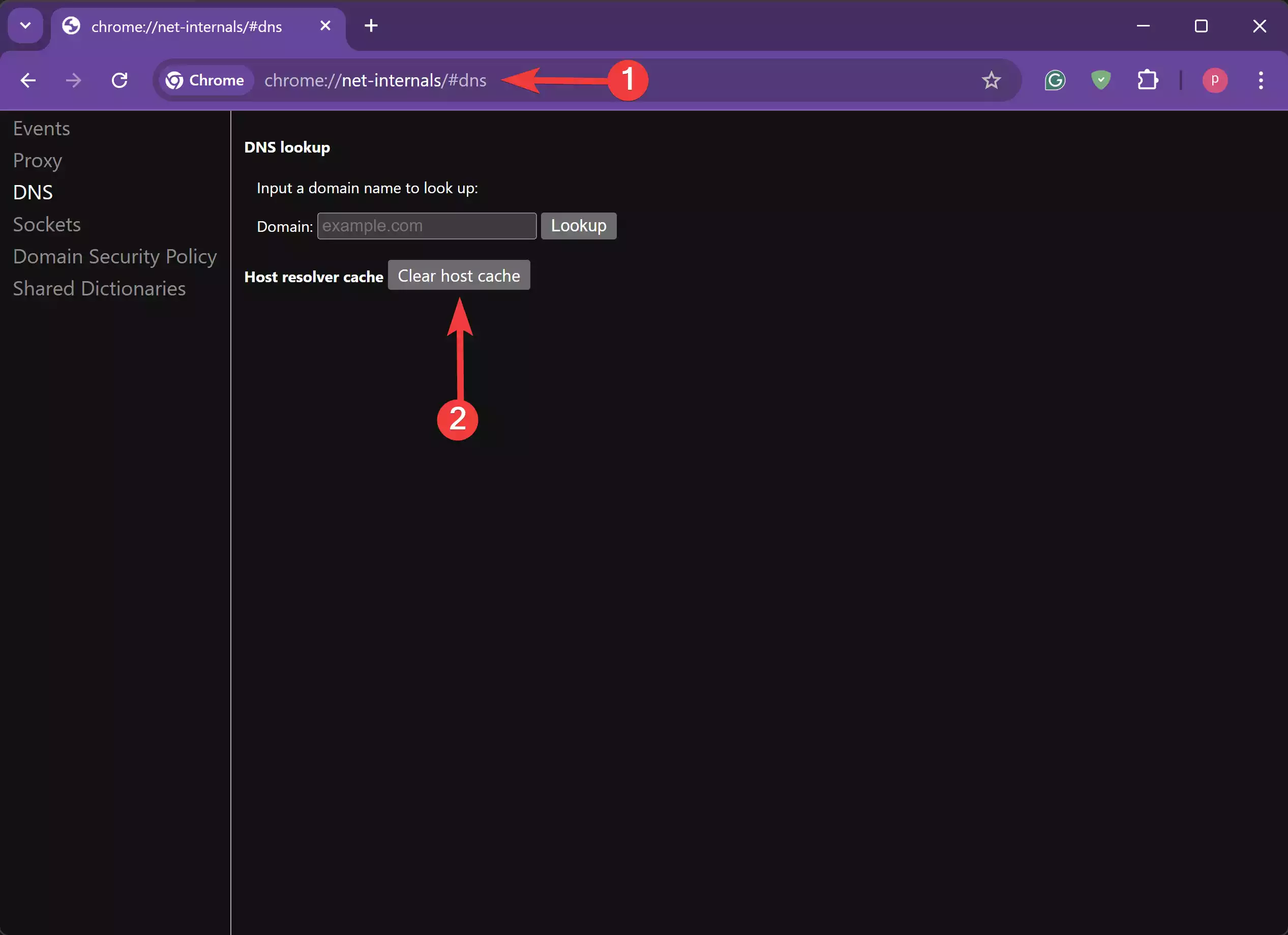 Chrome host cache clear