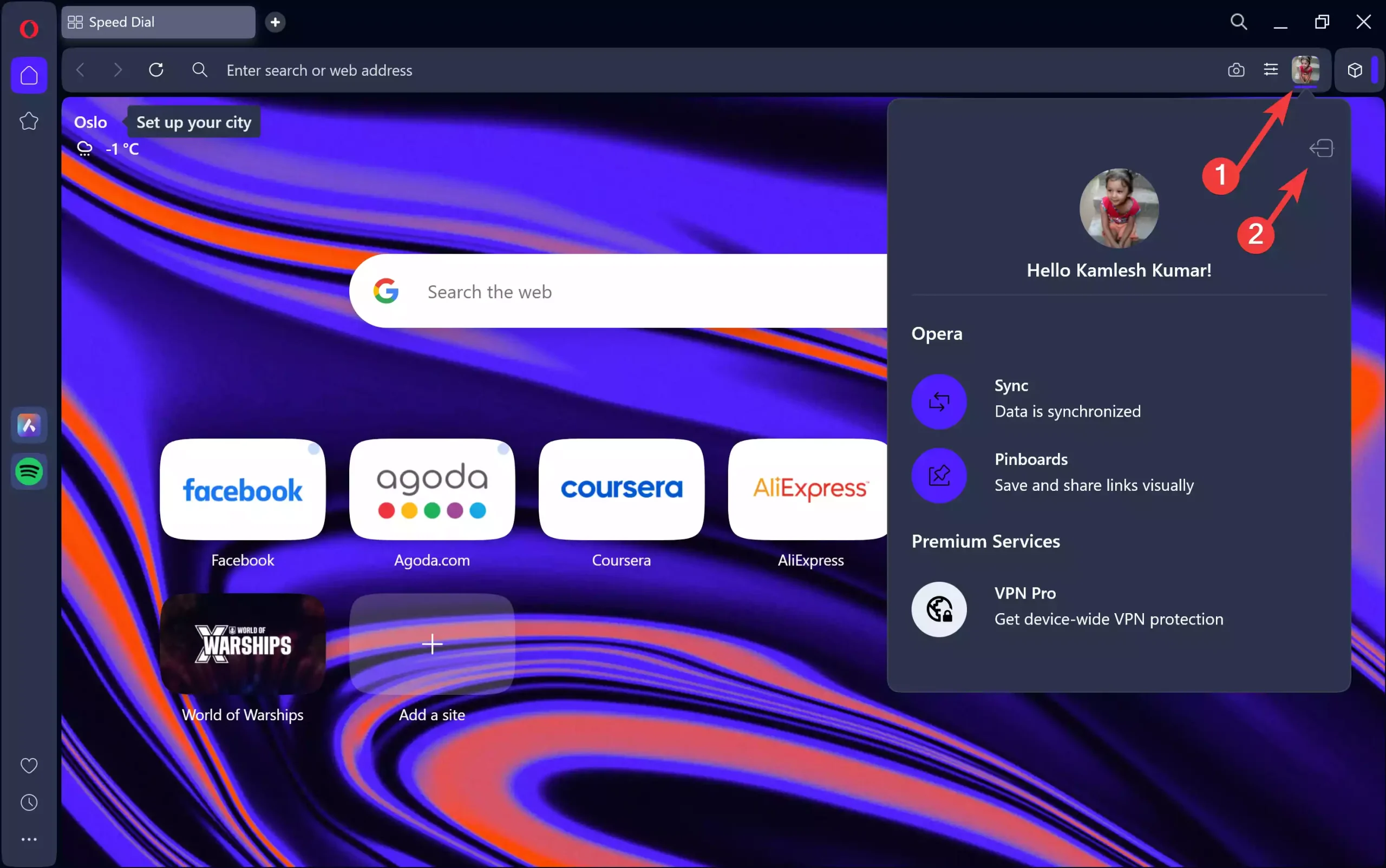 Opera profile or avatar icon - Left arrow button